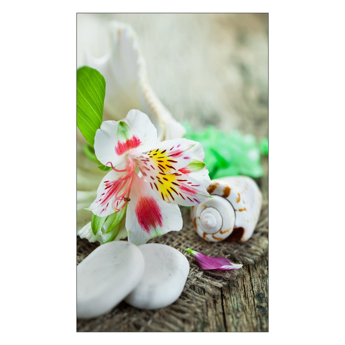 Toilettenrückwand nach maß