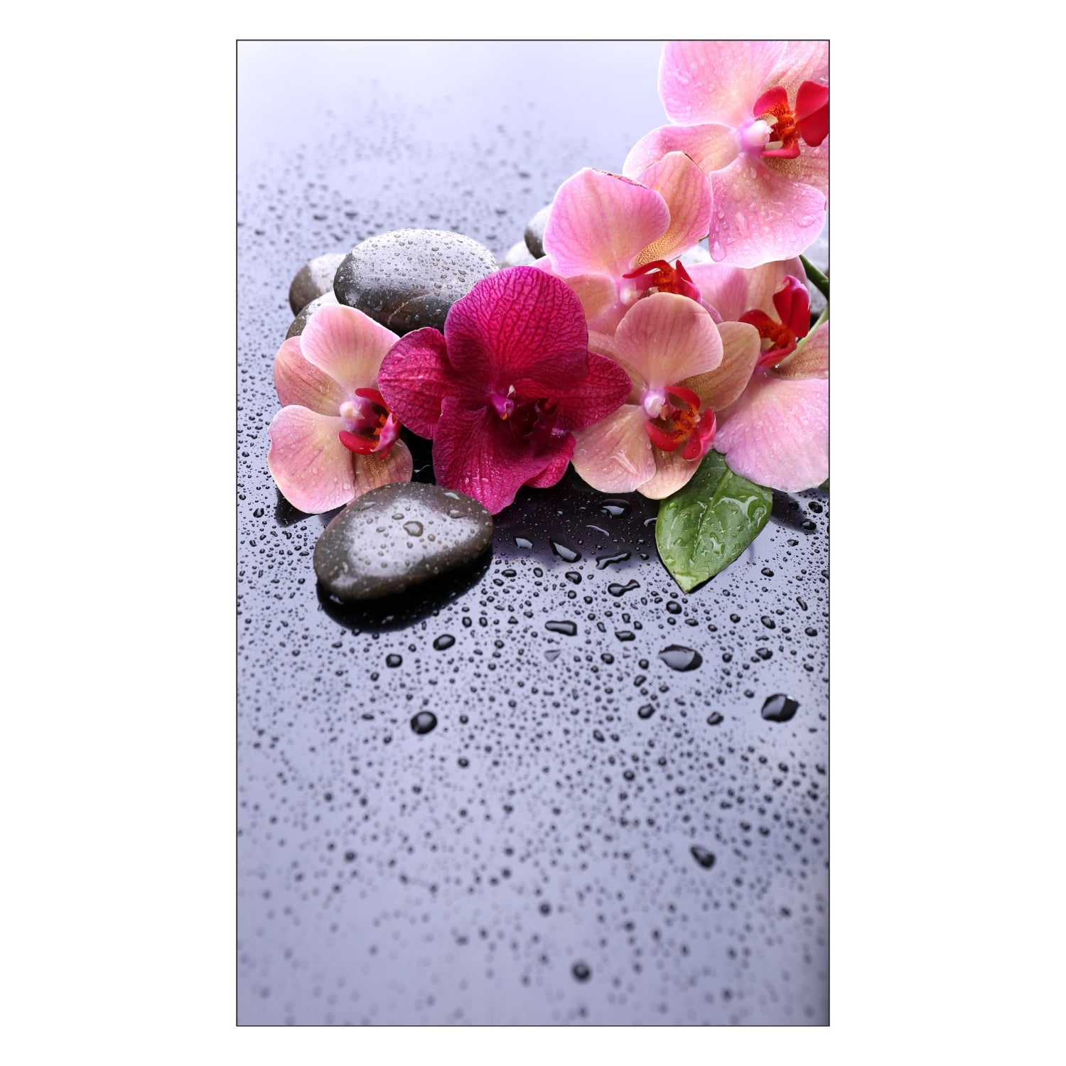 Toilettenrückwand nach maß