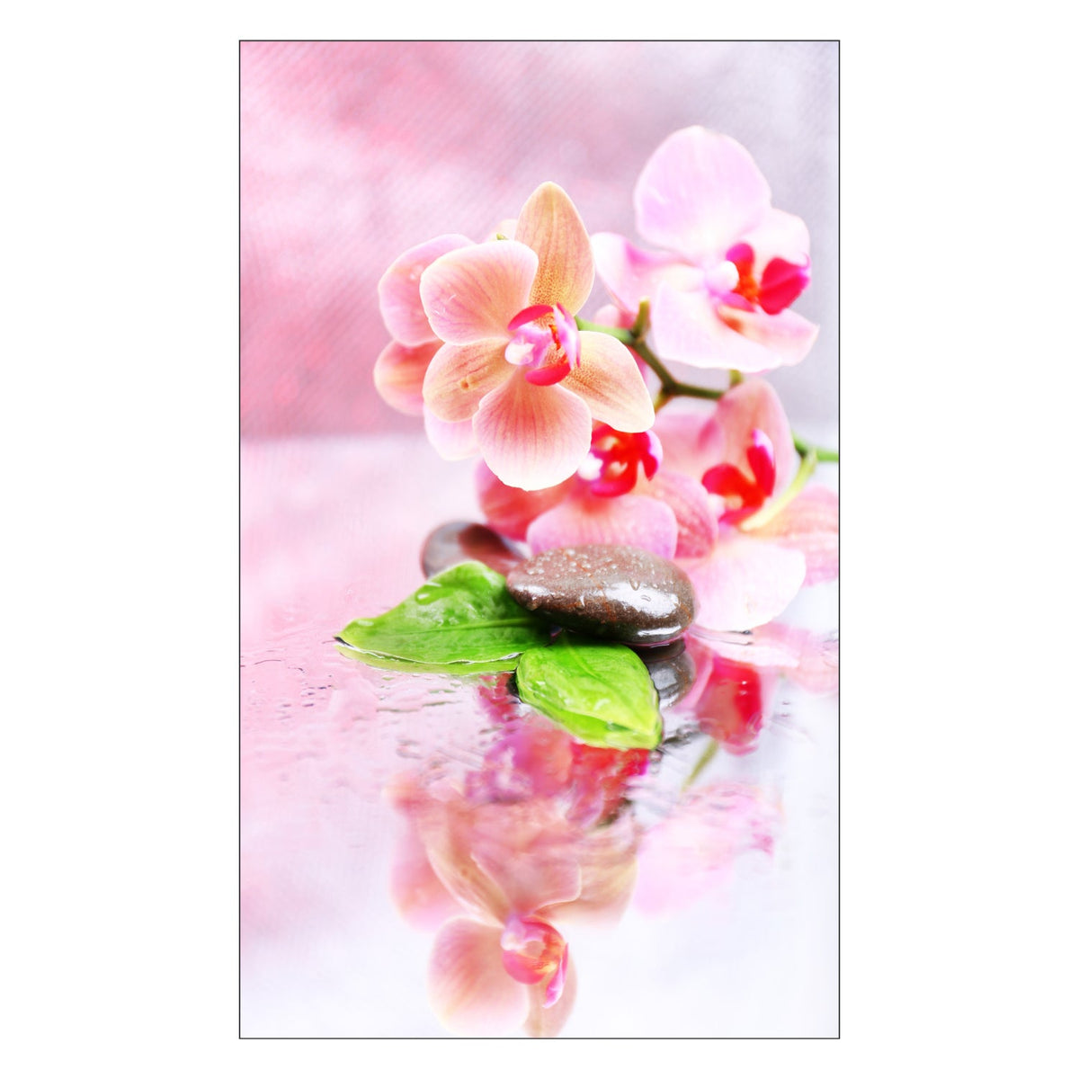 Duschrückwand nach maß