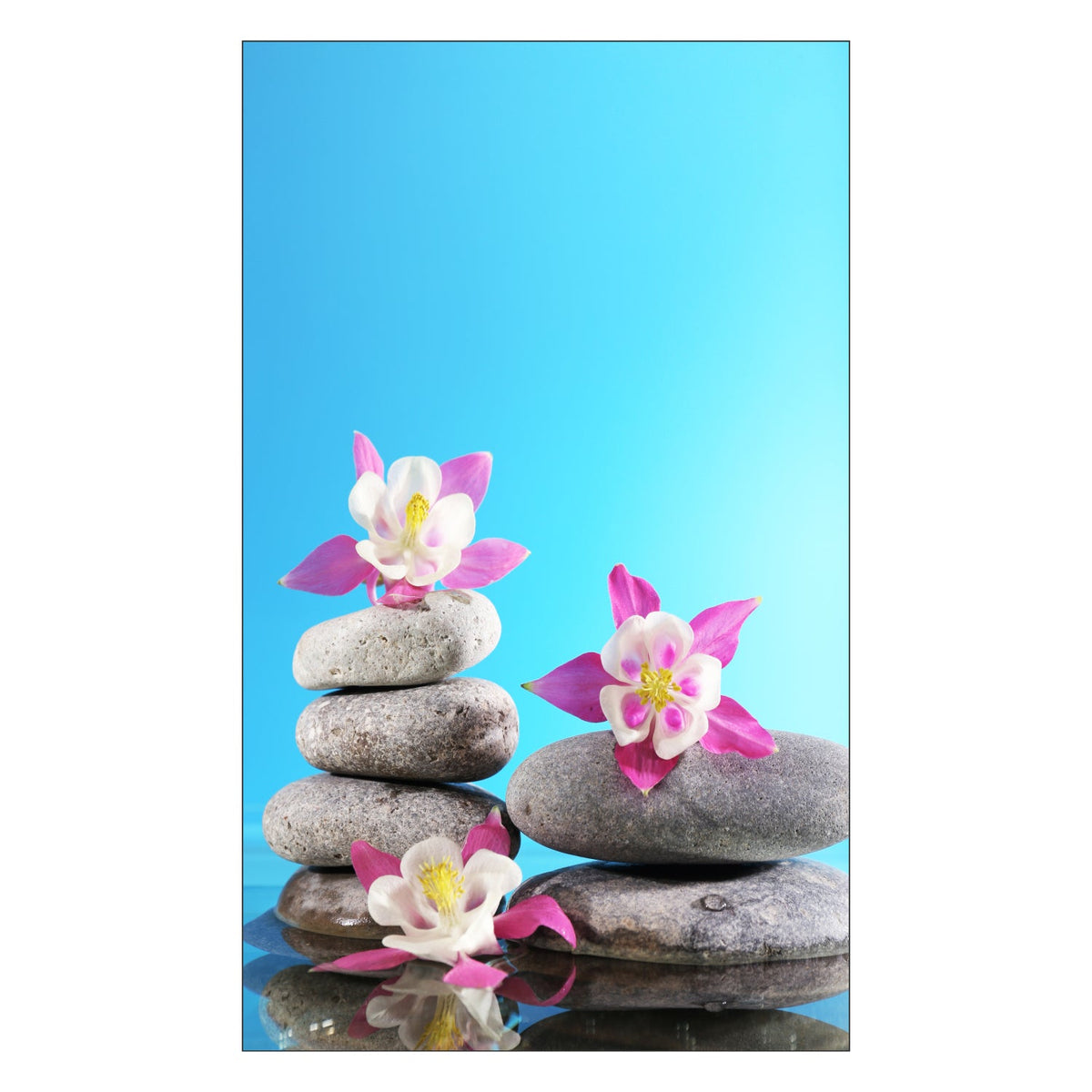 Duschrückwand nach maß