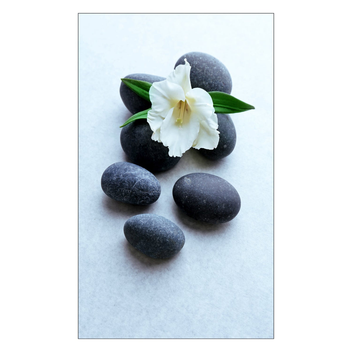 Toilettenrückwand nach maß