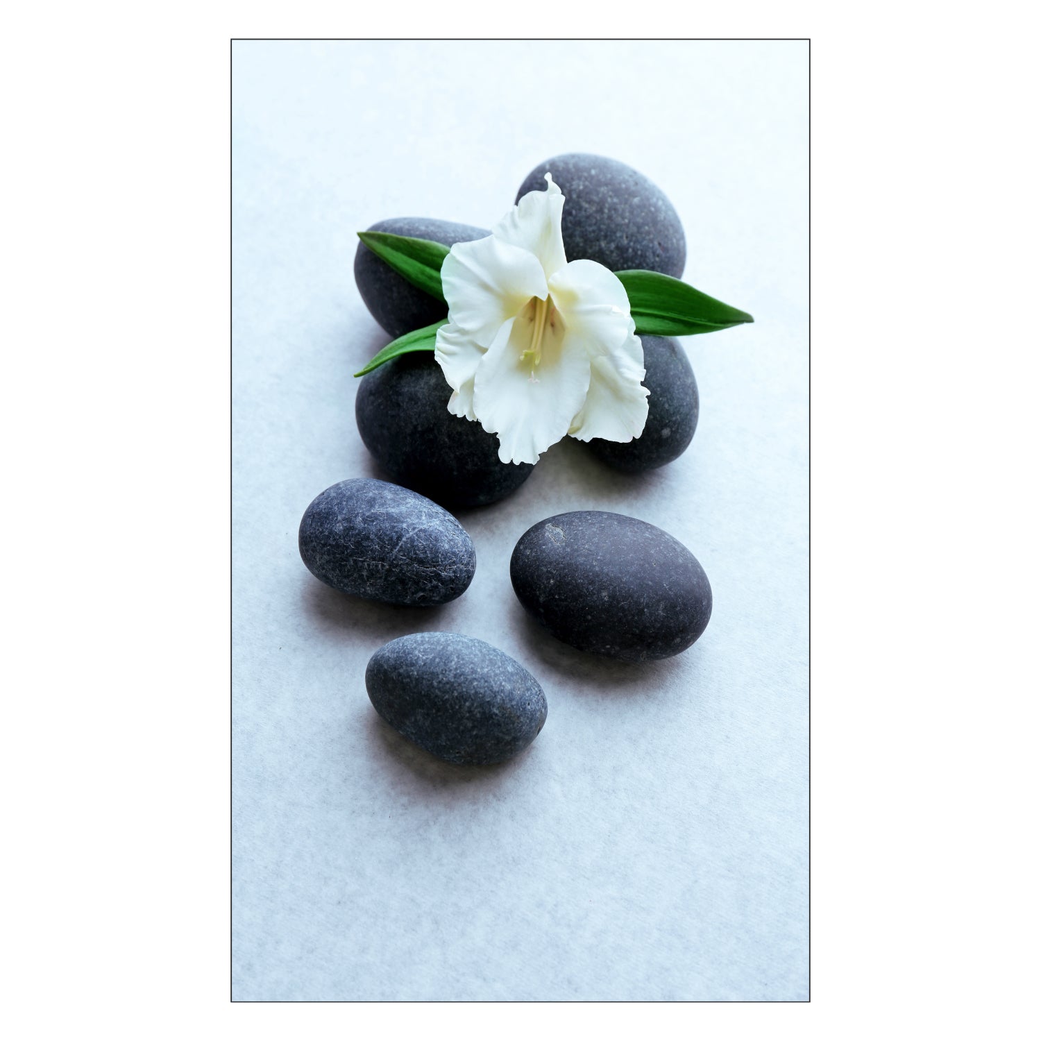 Duschrückwand nach maß