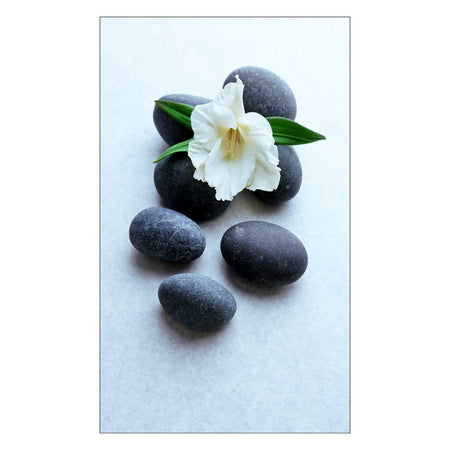 Duschrückwand nach maß