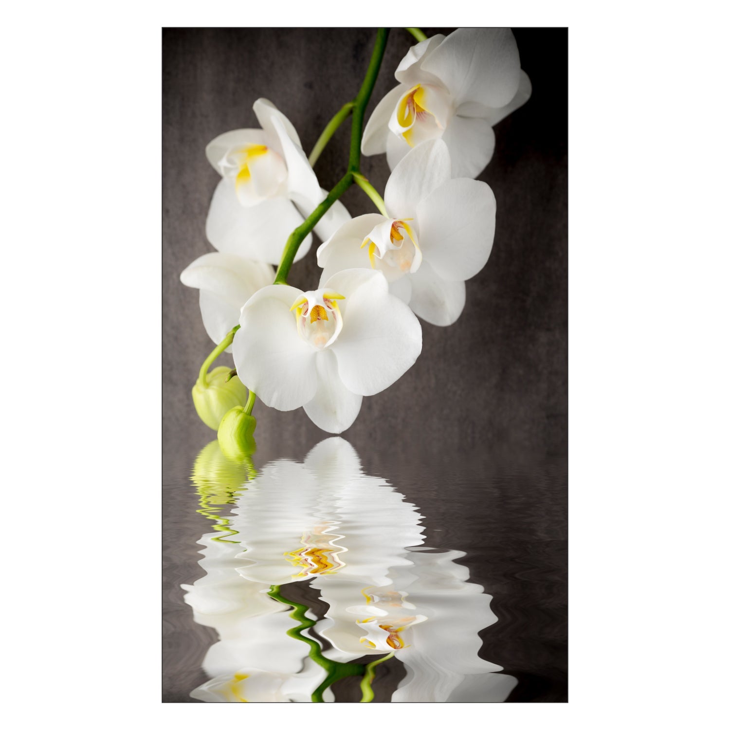 Duschrückwand nach maß