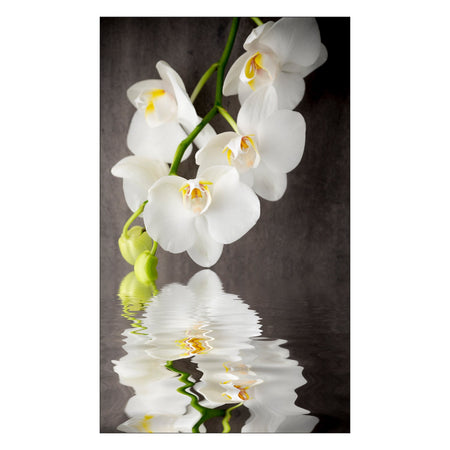 Toilettenrückwand nach maß