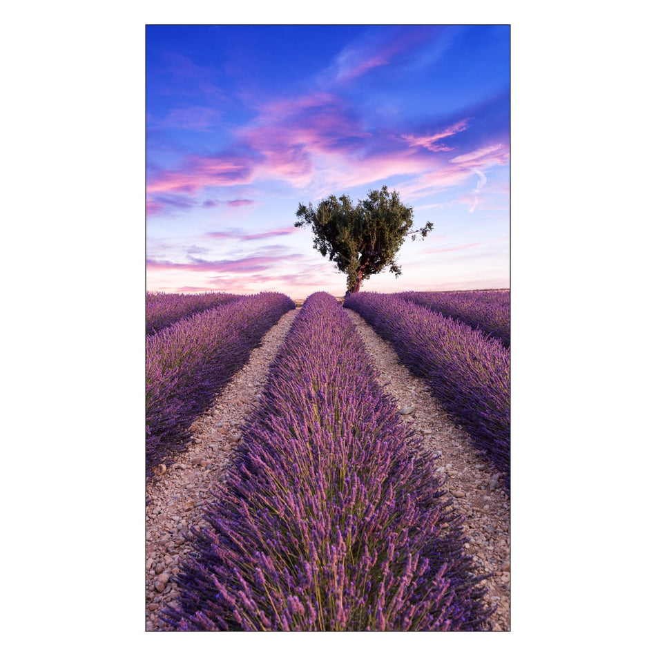 Duschrückwand nach maß