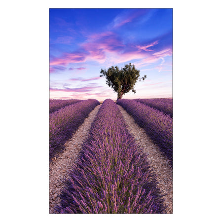 Toilettenrückwand nach maß