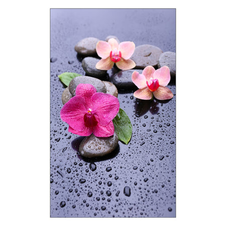 Toilettenrückwand nach maß