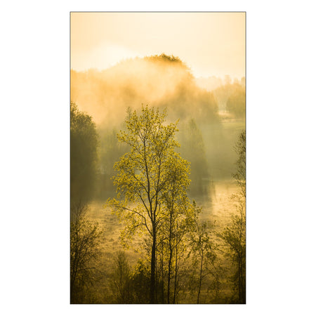 Duschrückwand nach maß