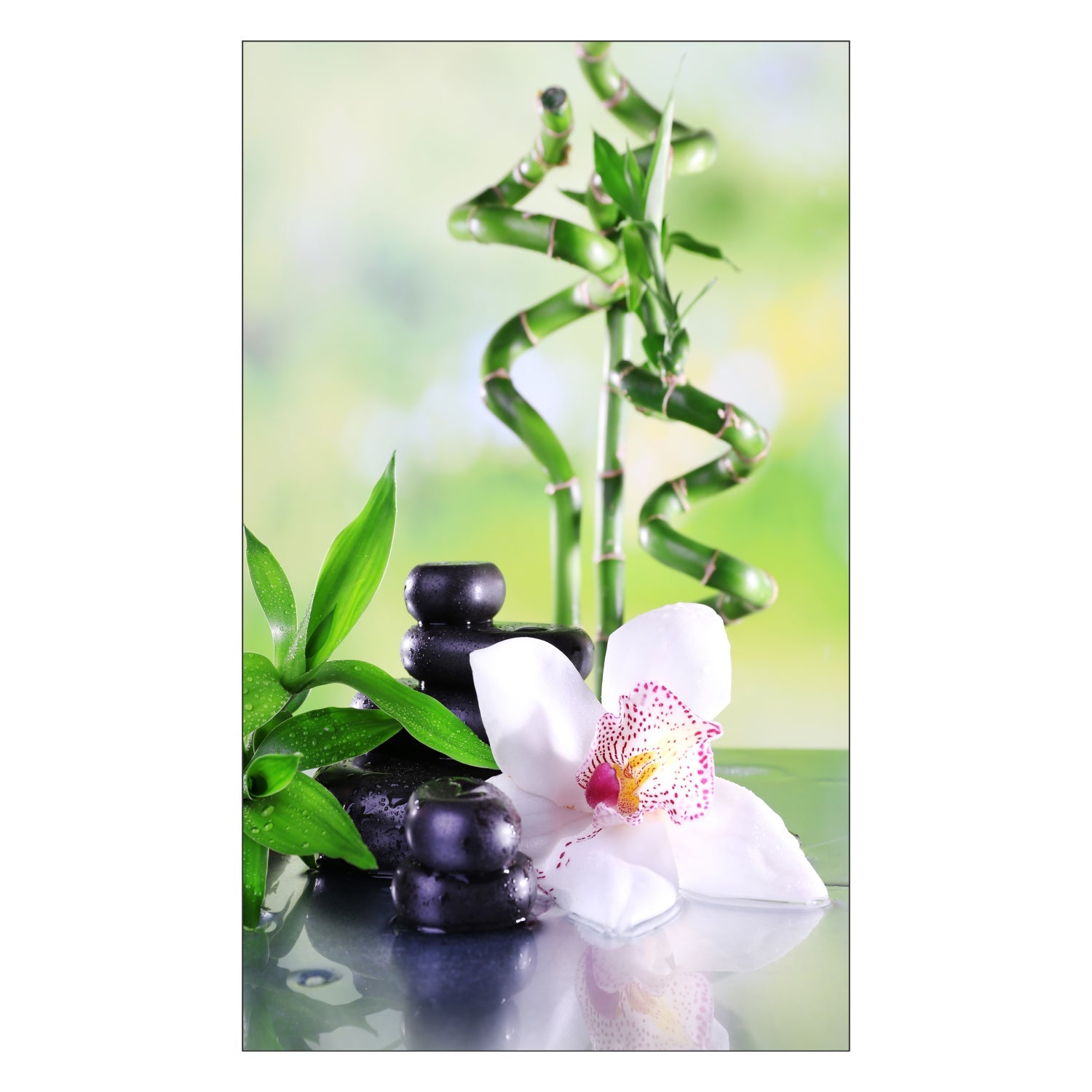 Toilettenrückwand nach maß