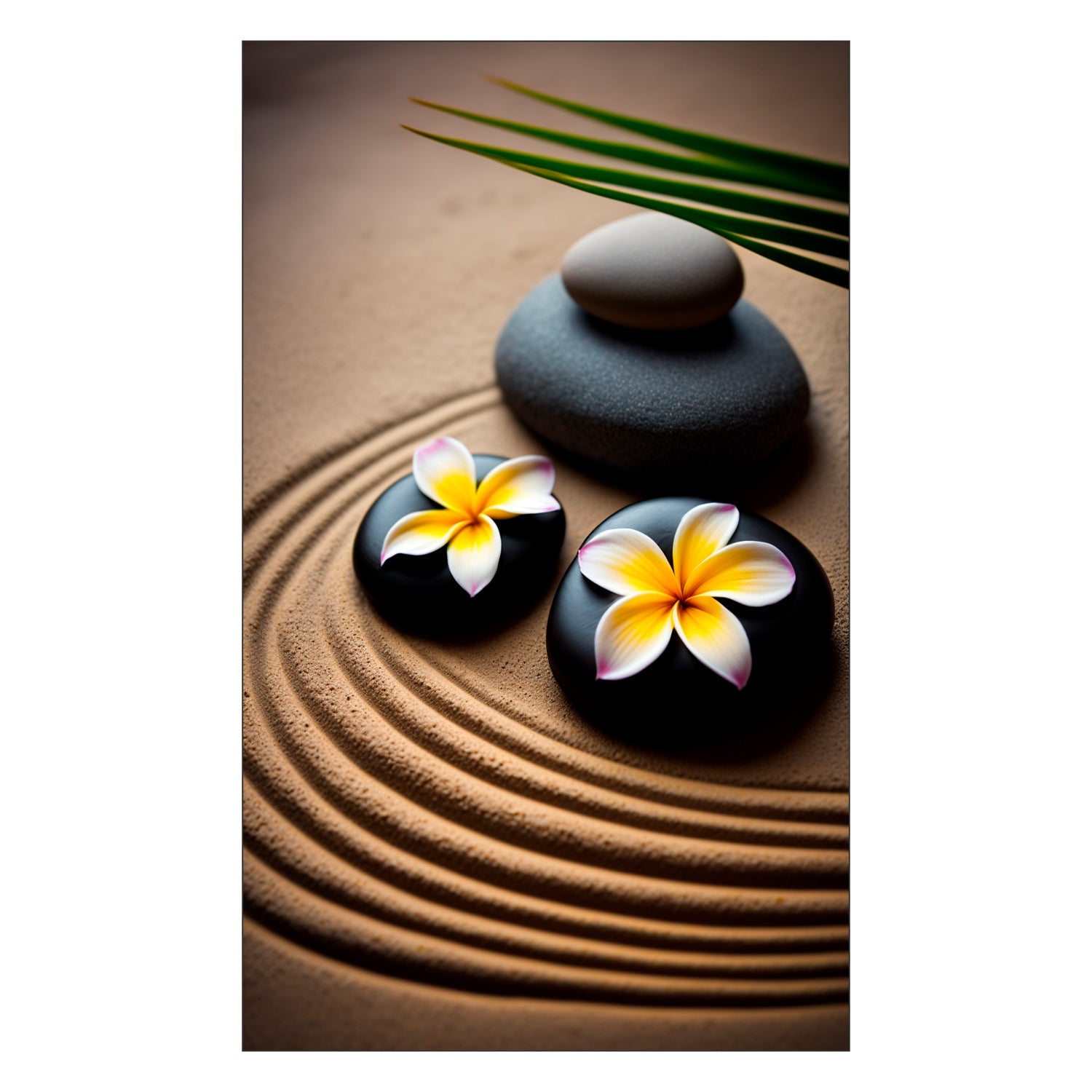 Toilettenrückwand nach maß