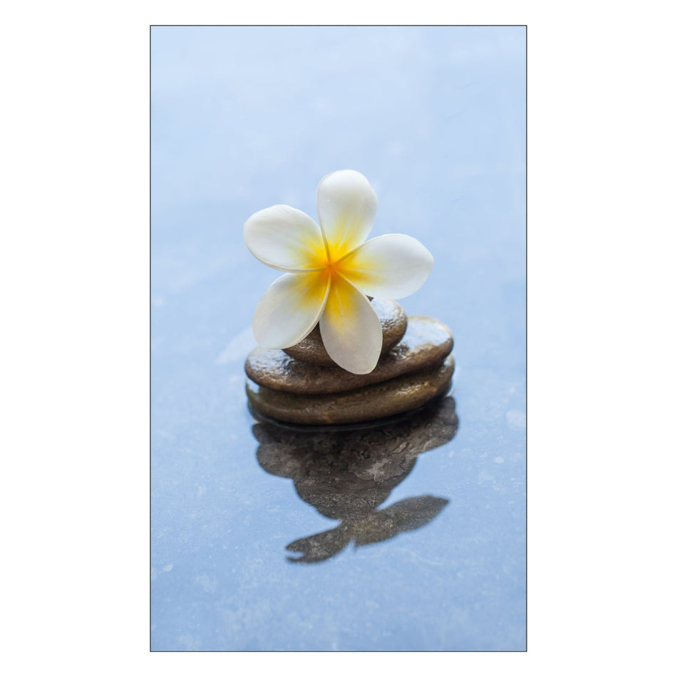 Duschrückwand nach maß