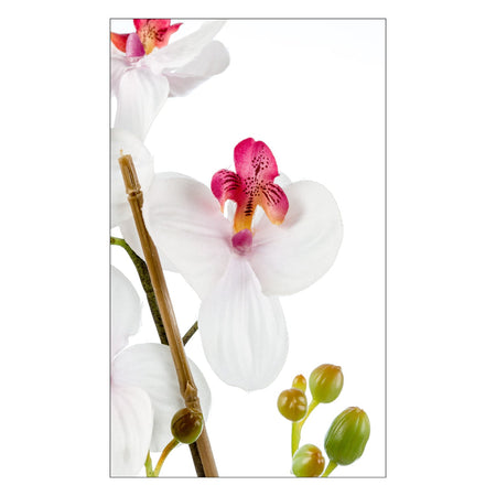 Toilettenrückwand nach maß