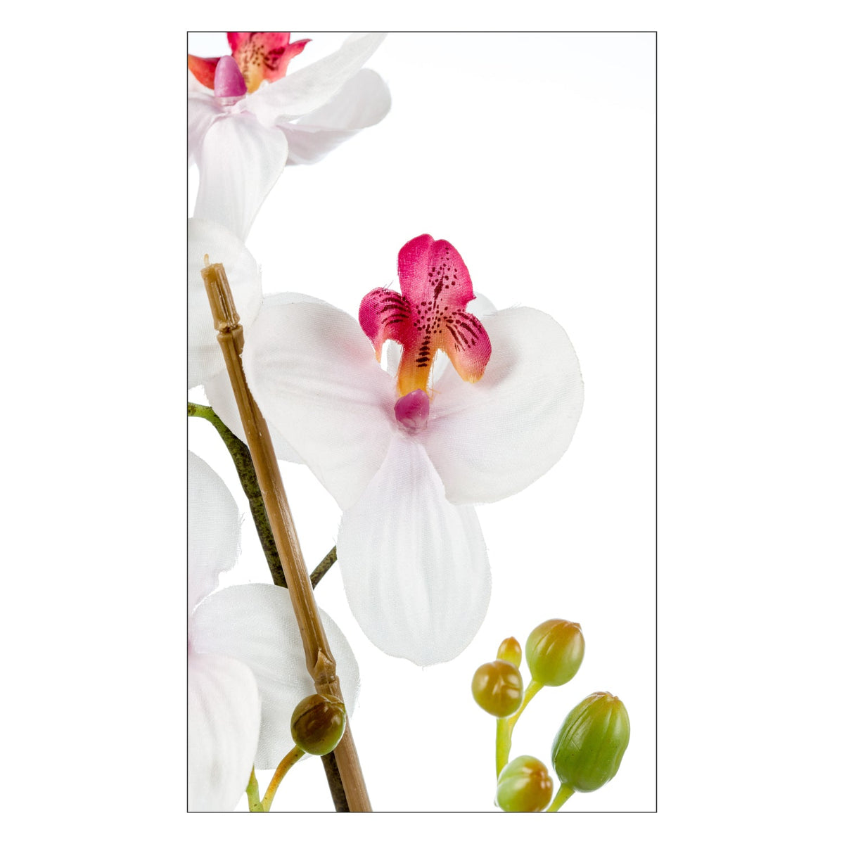 Duschrückwand nach maß