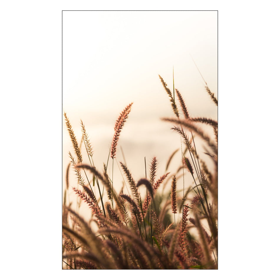 Toilettenrückwand nach maß