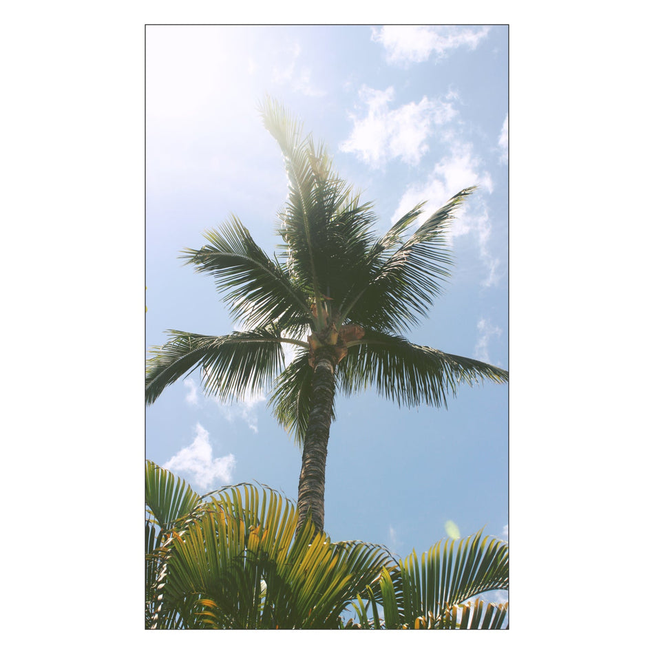 Toilettenrückwand nach maß