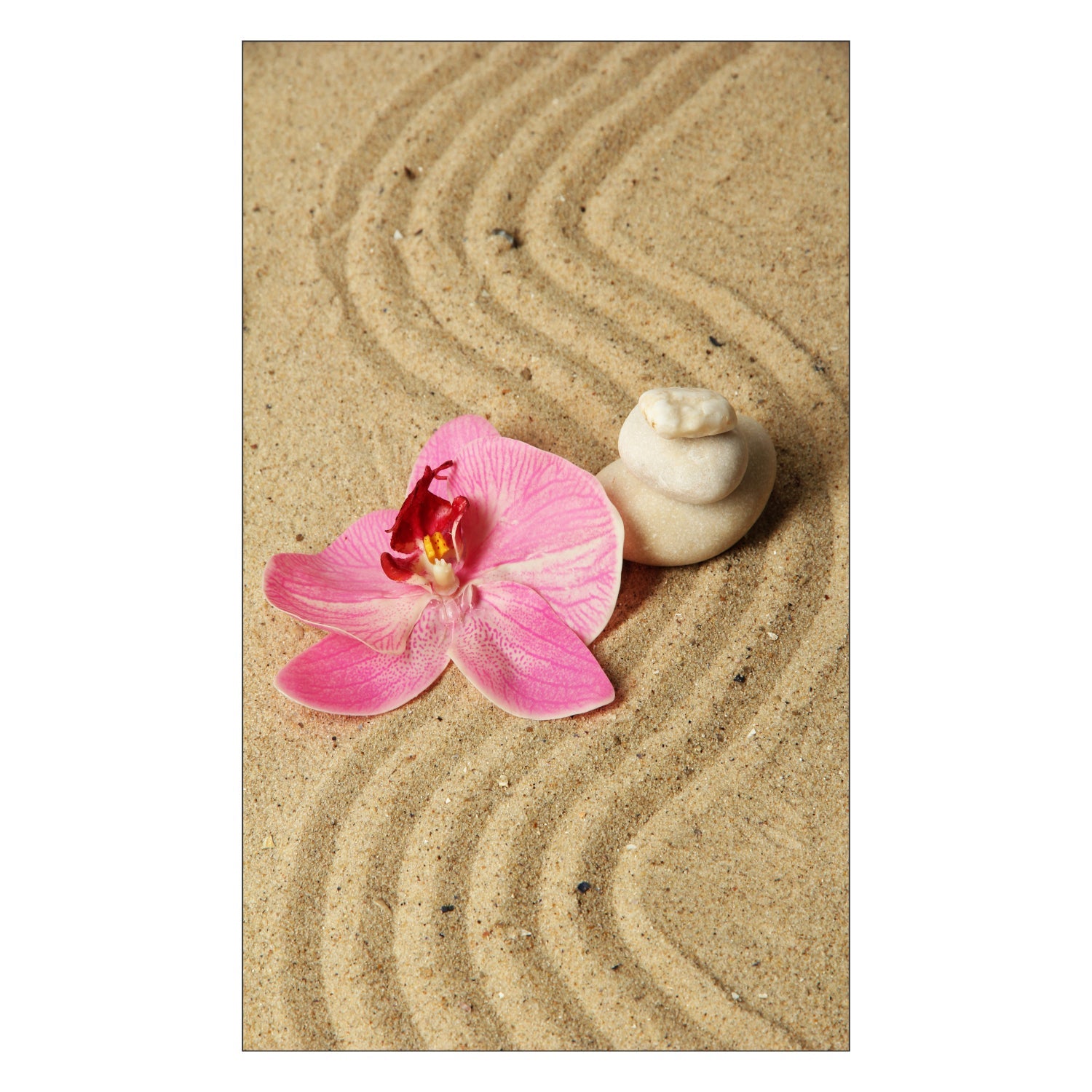 Duschrückwand nach maß