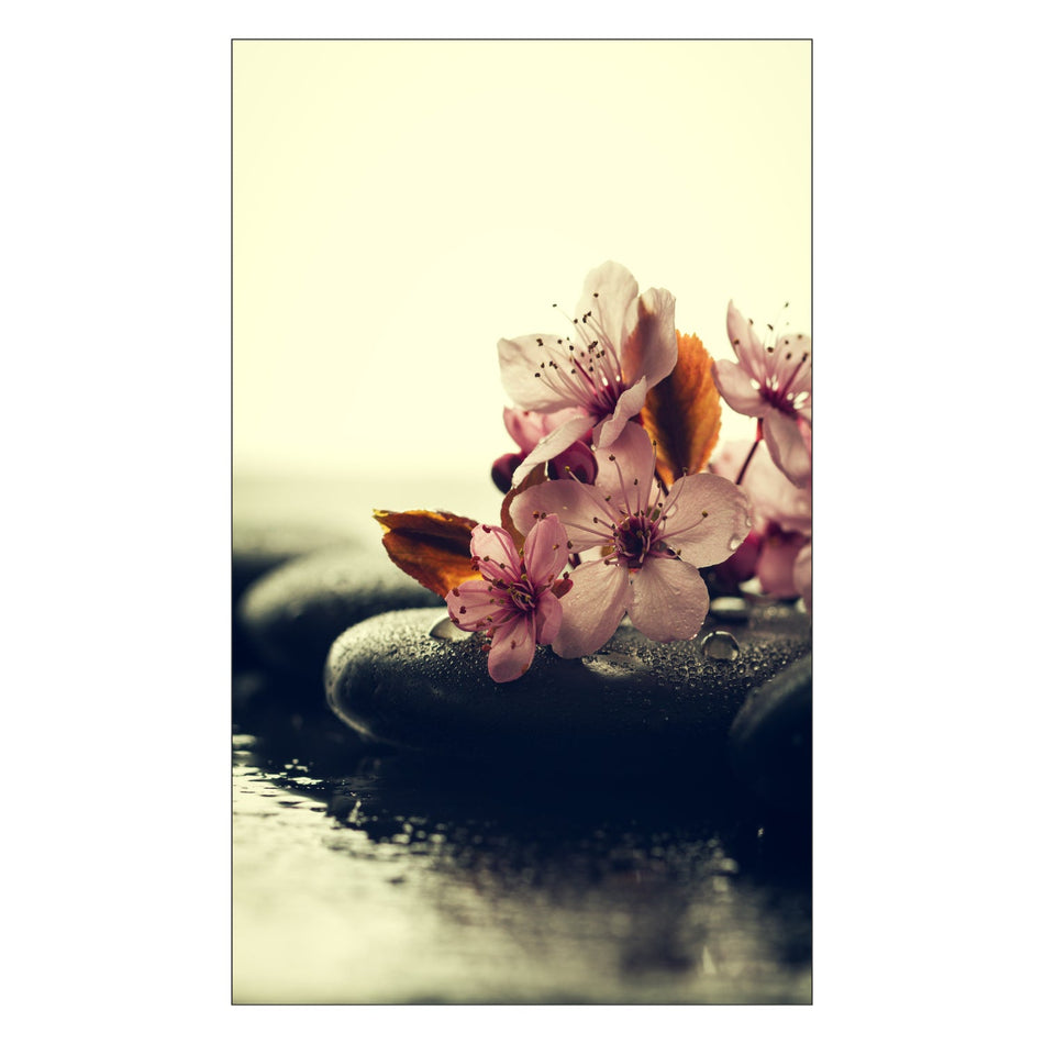 Toilettenrückwand nach maß