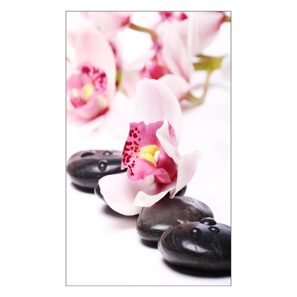 Duschrückwand nach maß