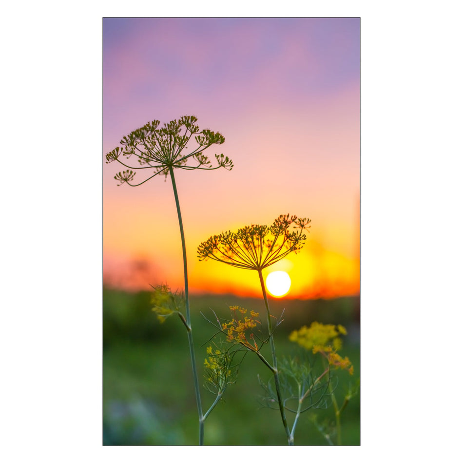 Toilettenrückwand nach maß