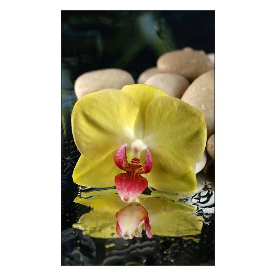 Toilettenrückwand nach maß