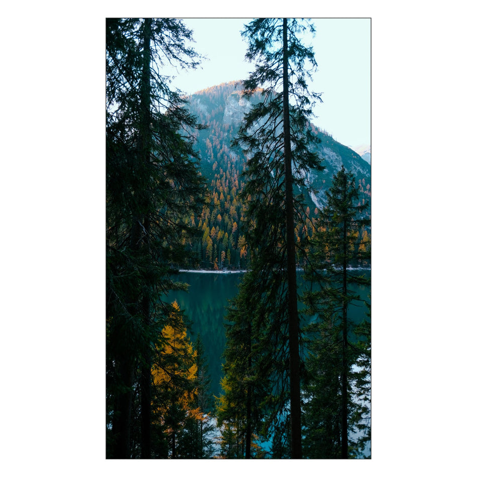 Duschrückwand nach maß