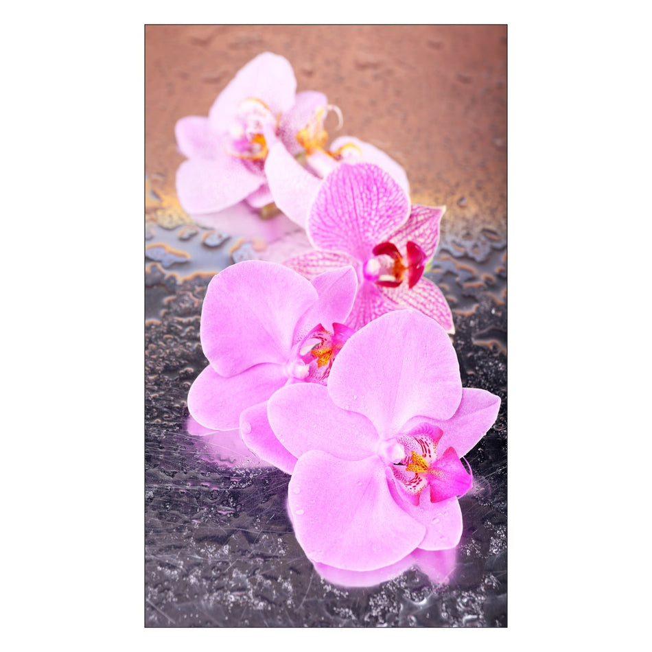 Duschrückwand nach maß