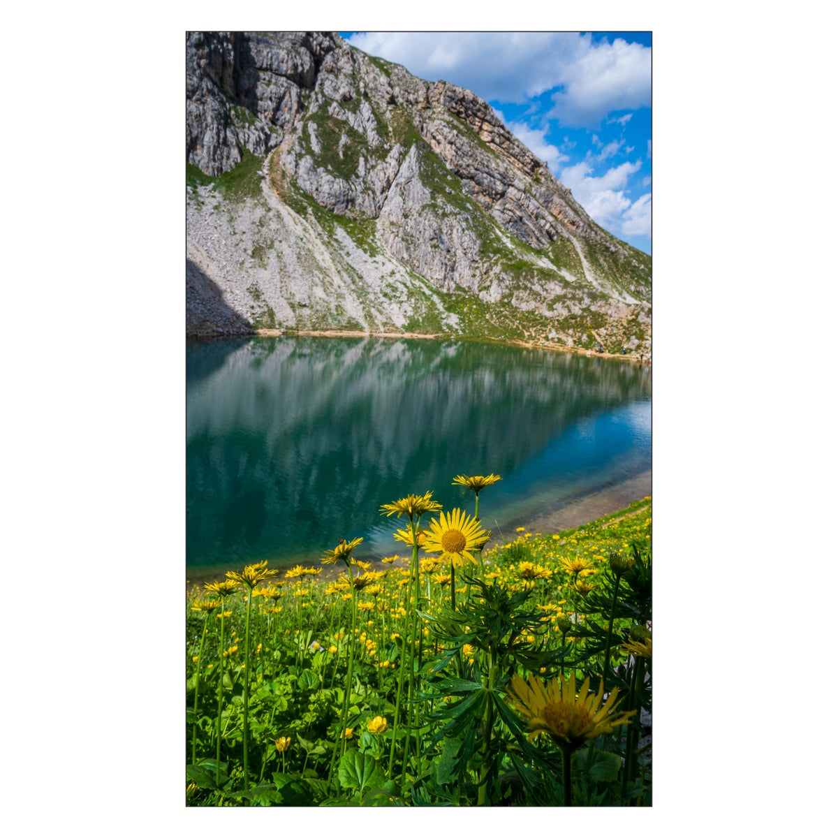 Duschrückwand nach maß