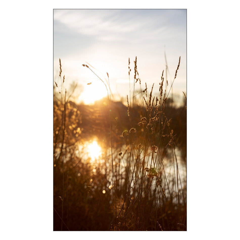 Toilettenrückwand nach maß