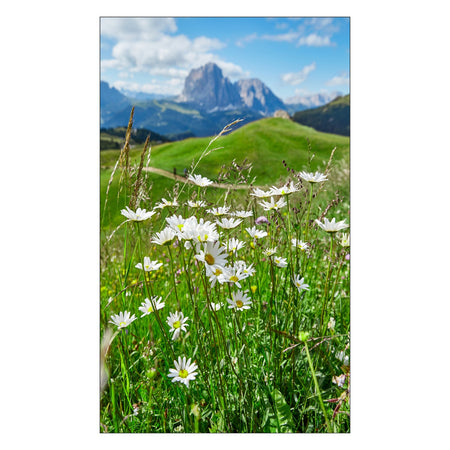 Duschrückwand nach maß