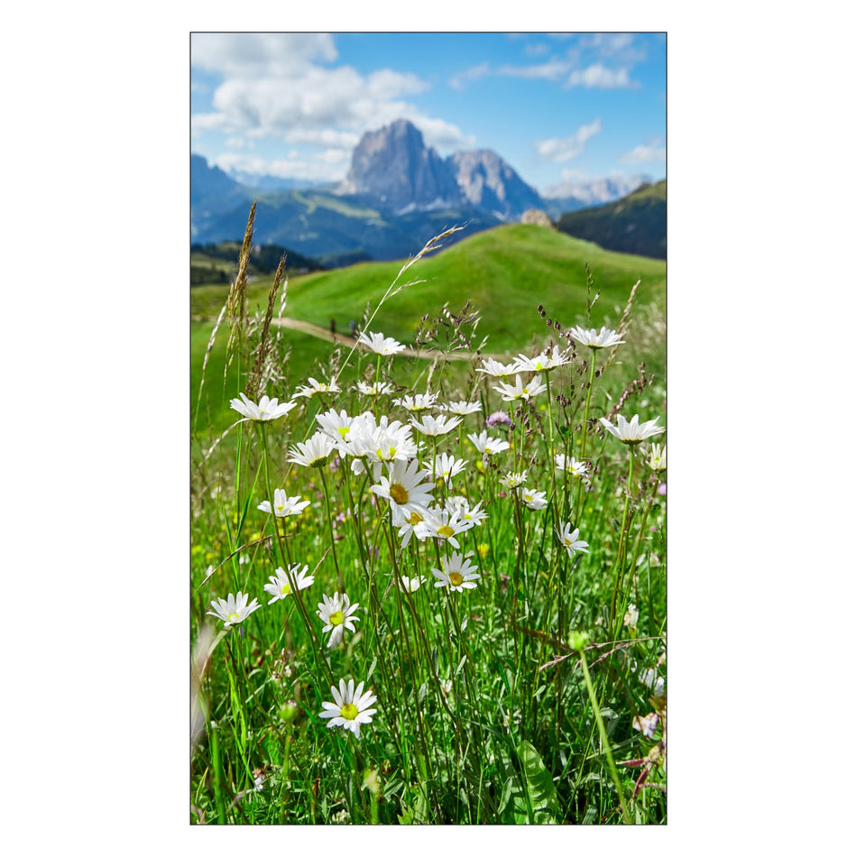 Toilettenrückwand nach maß