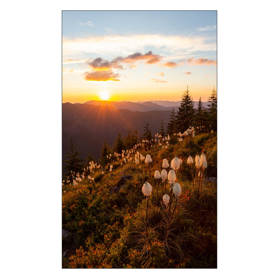 Toilettenrückwand nach maß