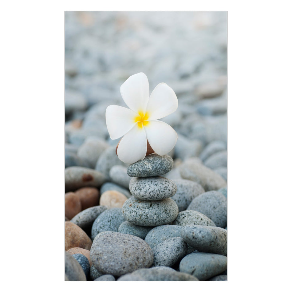 Toilettenrückwand nach maß