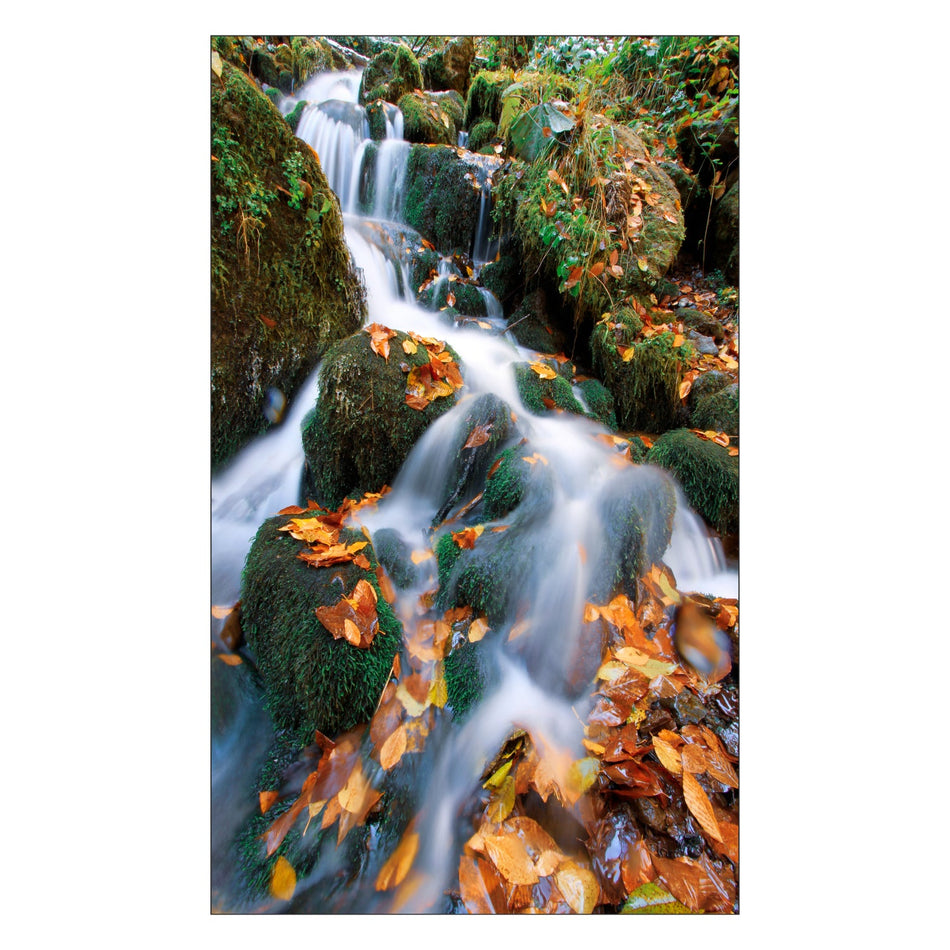 Toilettenrückwand nach maß