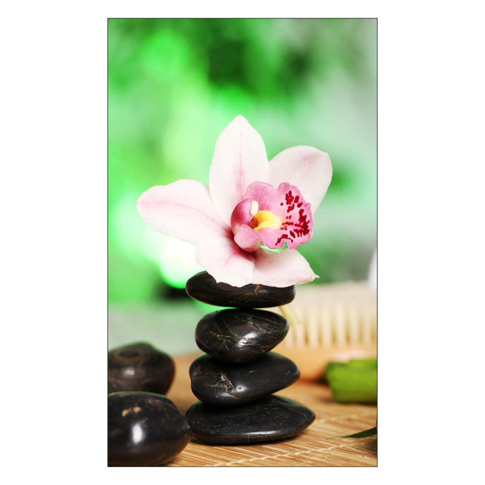 Toilettenrückwand nach maß