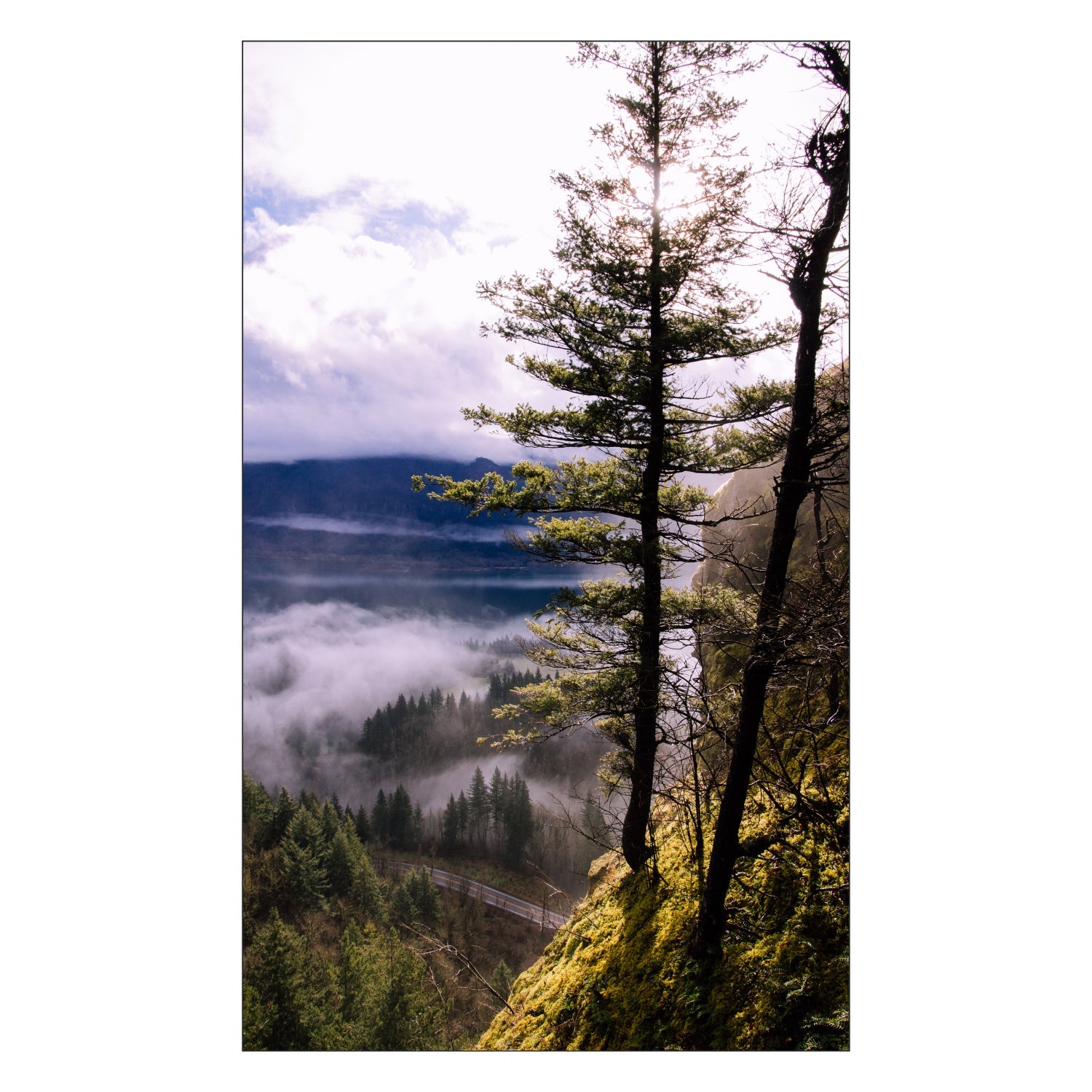 Duschrückwand nach maß