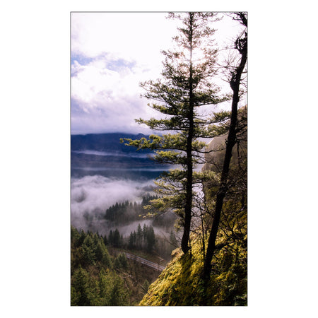 Duschrückwand nach maß