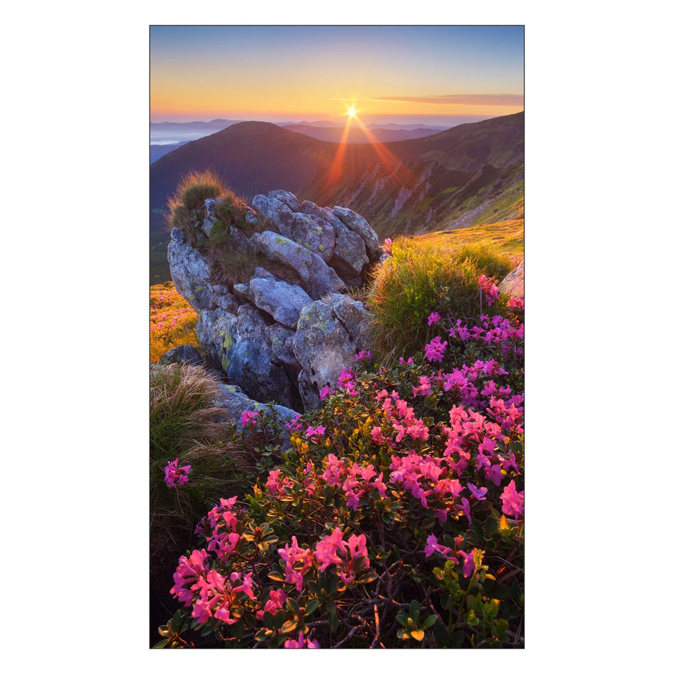 Toilettenrückwand nach maß