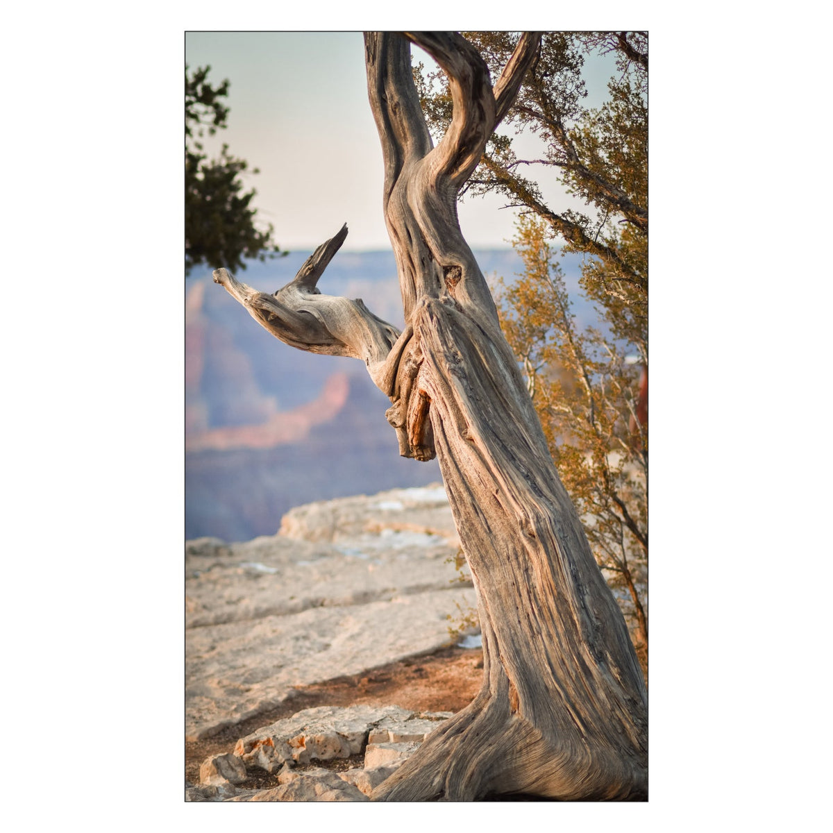 Toilettenrückwand nach maß