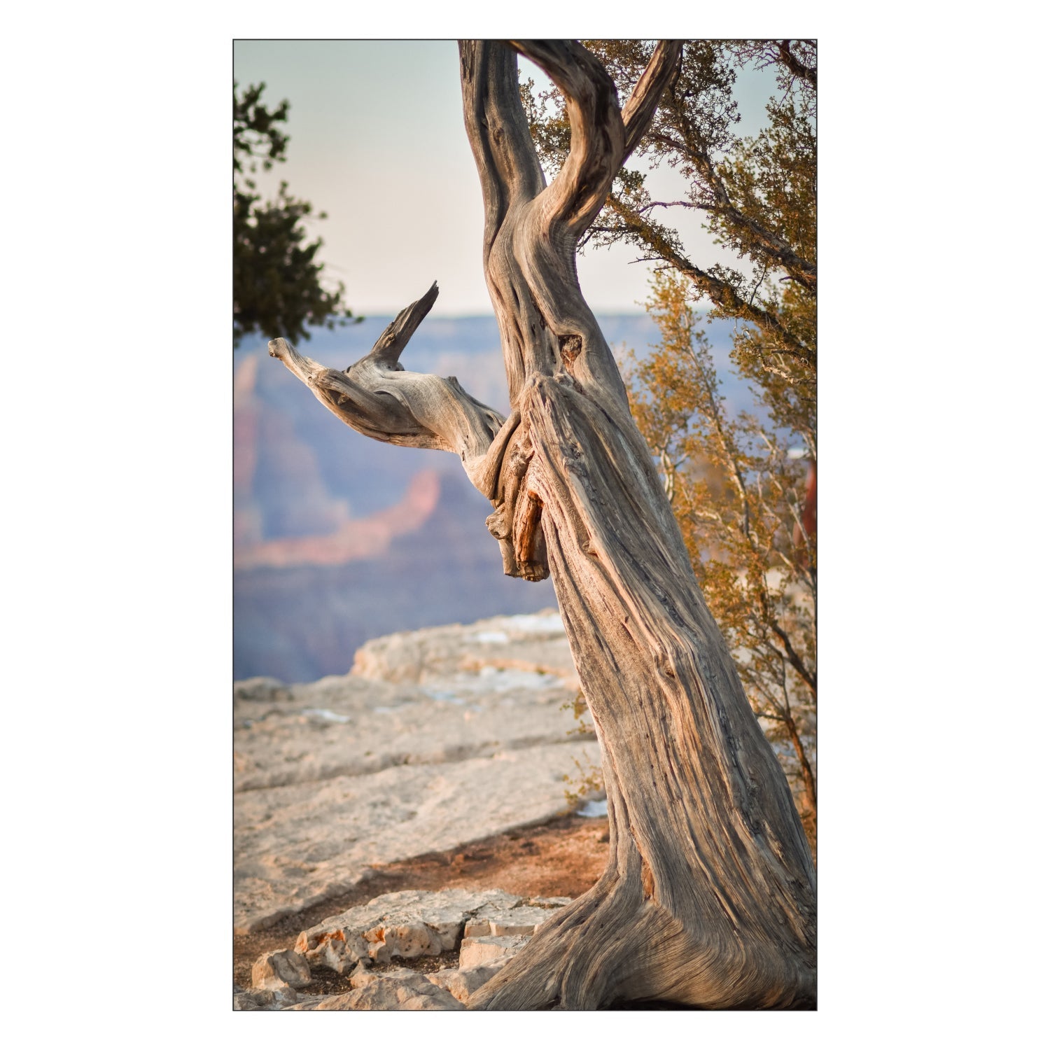 Toilettenrückwand nach maß