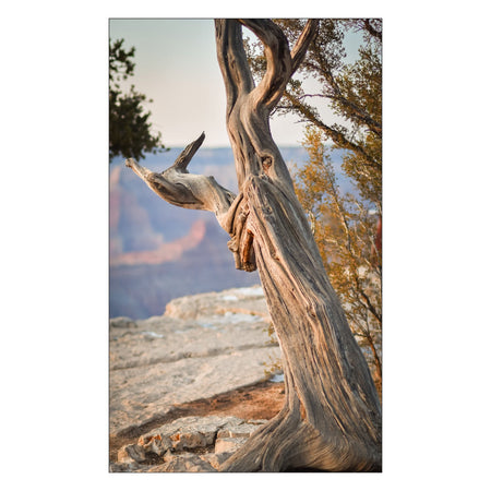 Toilettenrückwand nach maß