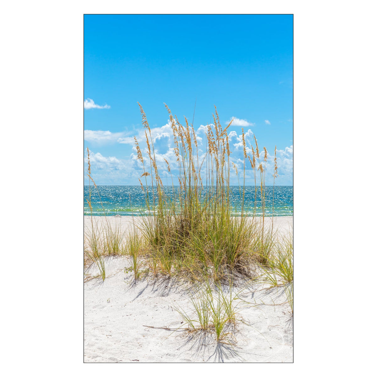 Duschrückwand nach maß