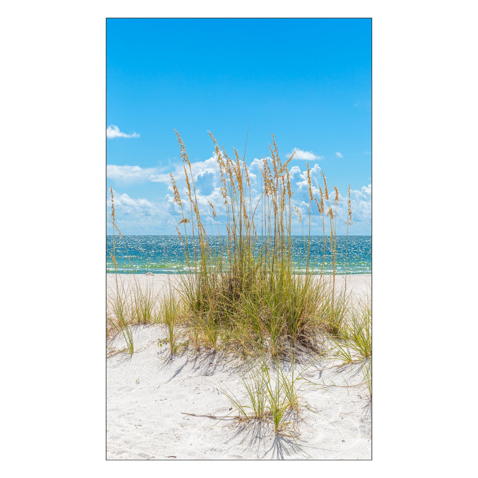 Duschrückwand nach maß