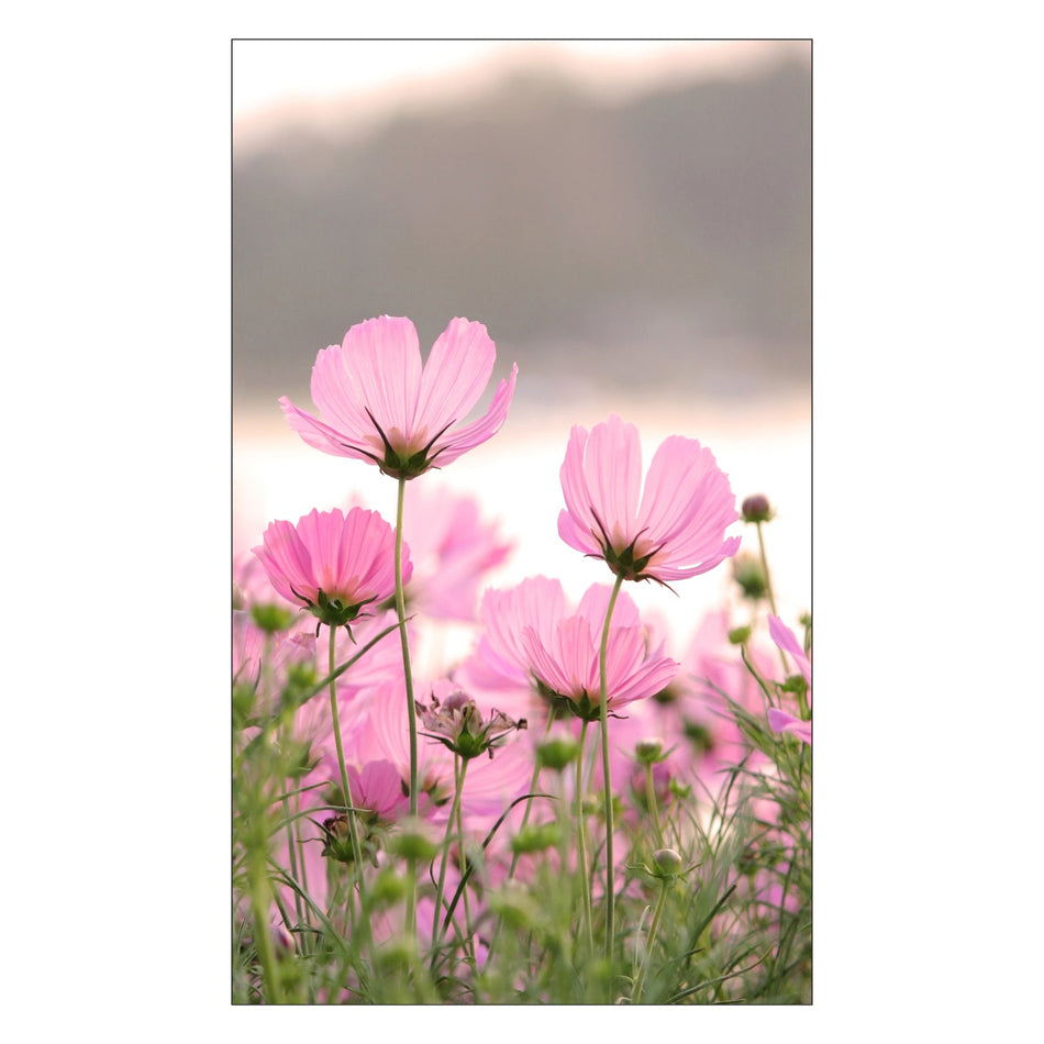 Toilettenrückwand nach maß