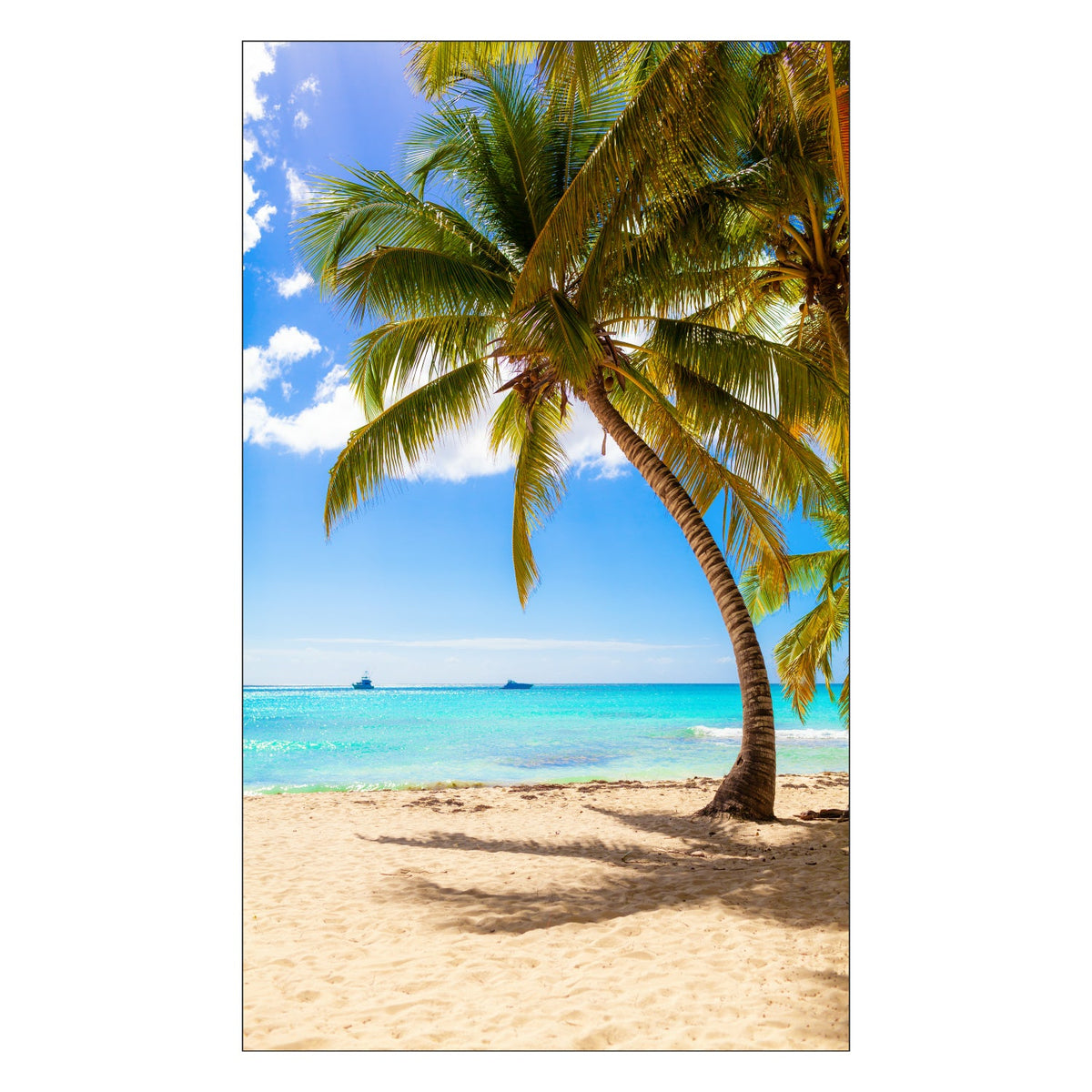 Duschrückwand nach maß