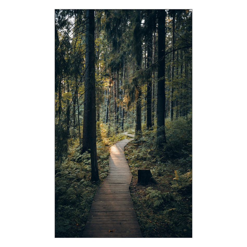 Toilettenrückwand nach maß