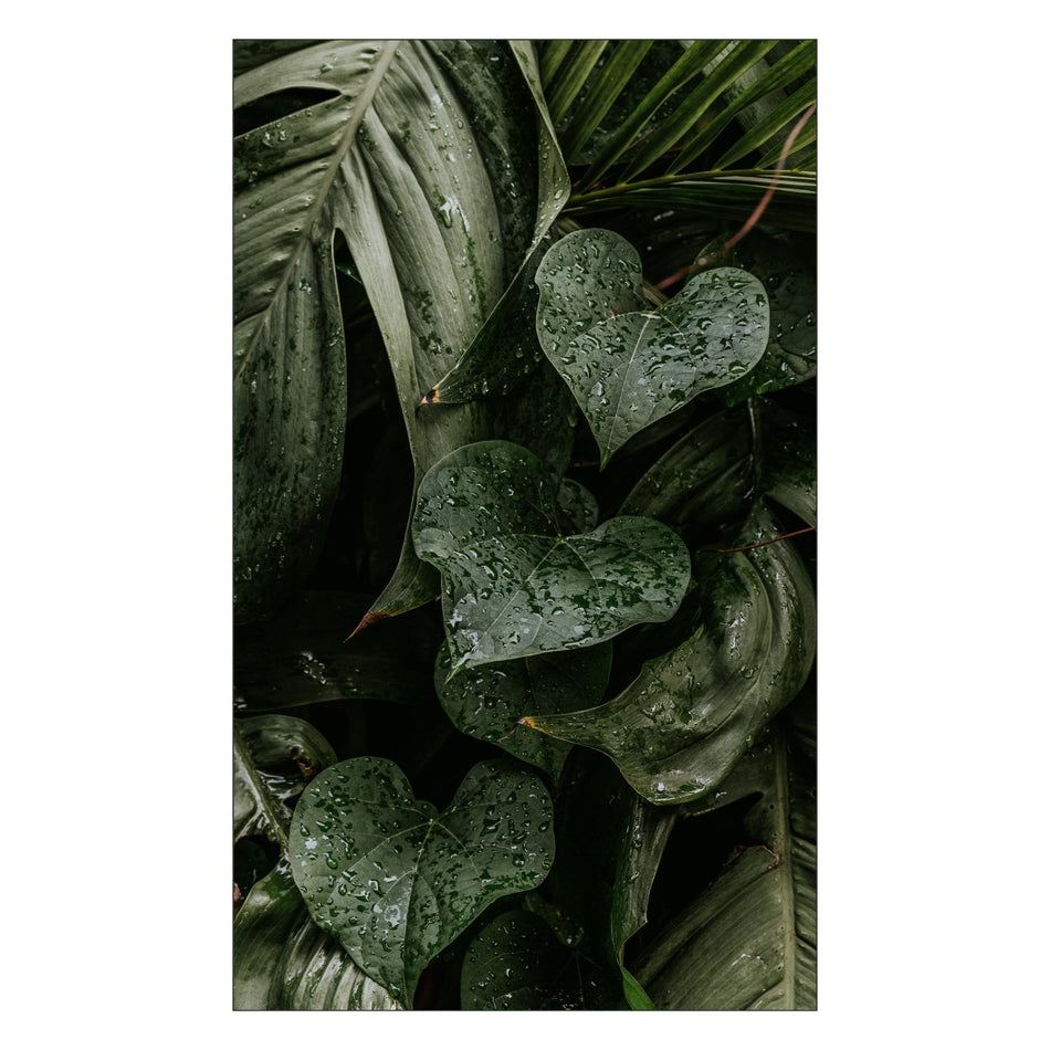 Toilettenrückwand nach maß