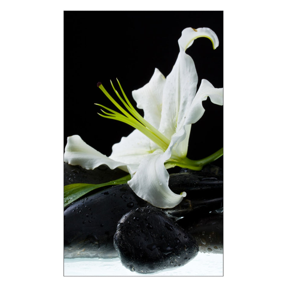 Toilettenrückwand nach maß