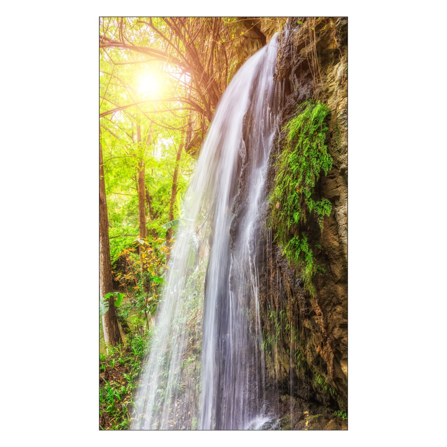 Duschrückwand nach maß