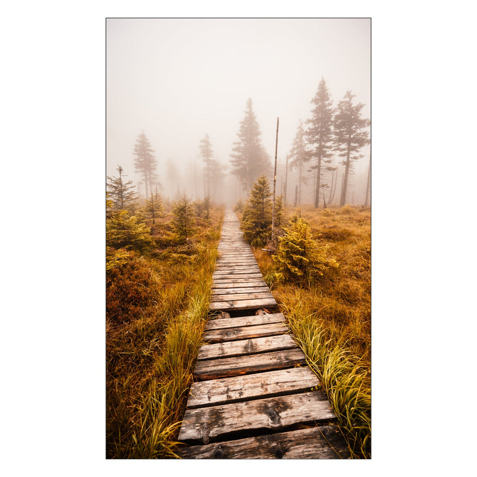 Toilettenrückwand nach maß